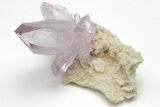 Amethyst Crystal Cluster - Las Vigas, Mexico #204528-1